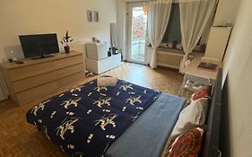 Studiowpalheta